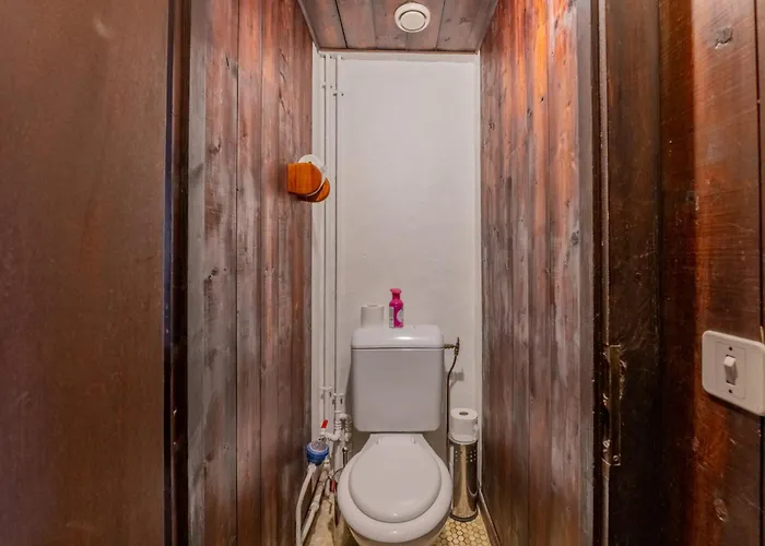 Amethystes B02 In Out - Happy