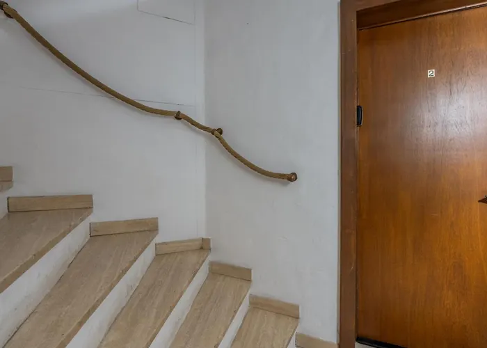 Amethystes B02 In Out - Happy