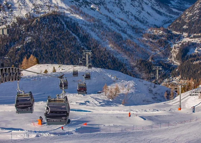 Amethystes B02 In Out - Happy